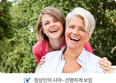 정상인의 시야 : 선명하게 보임