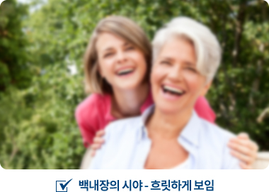 백내장의 시야 : 흐릿하게 보임